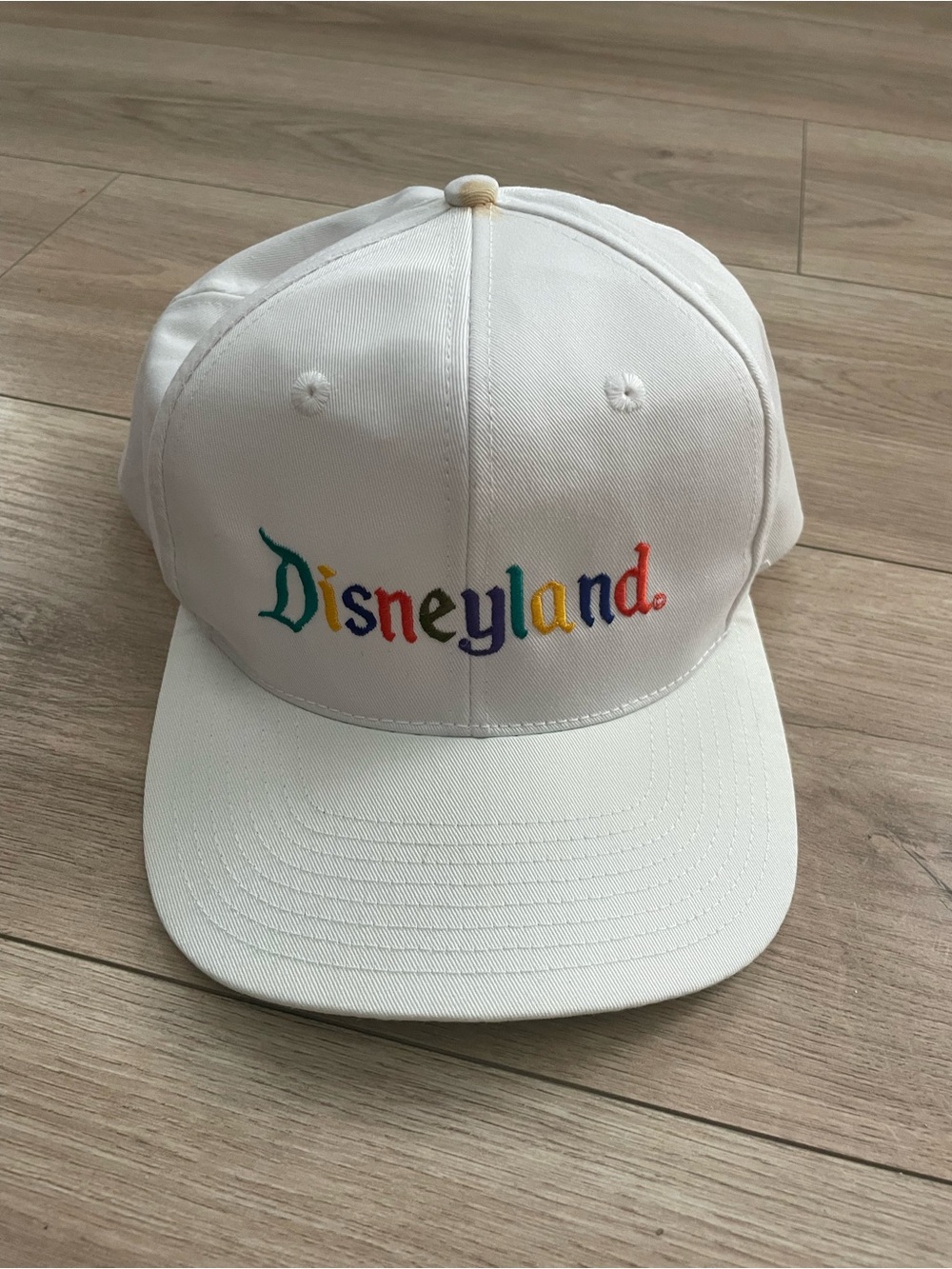 Vintage Disneyland Hat